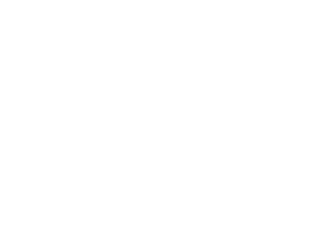 Davide Pedersoli Firearms