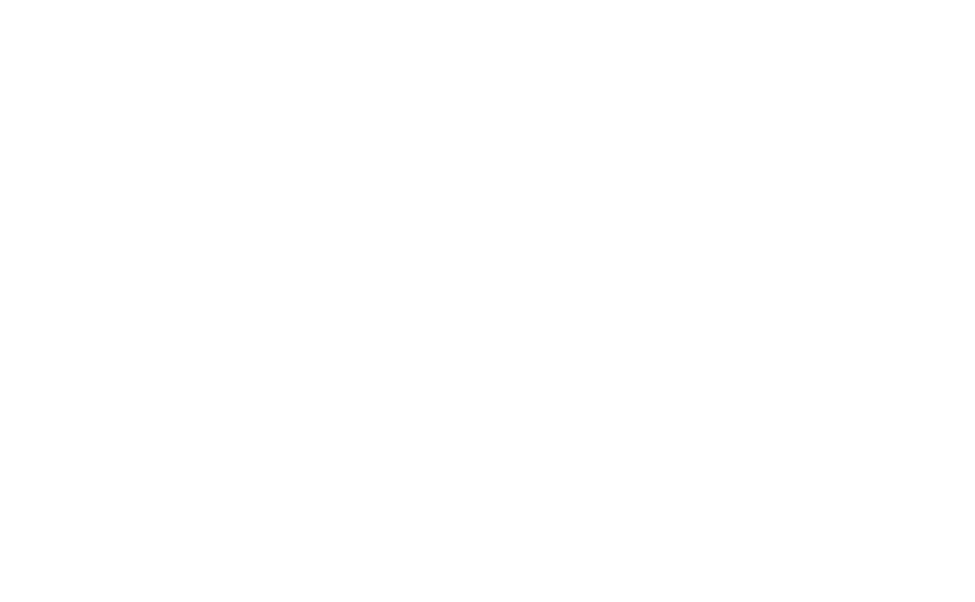 F.A.I.R. since 1971
